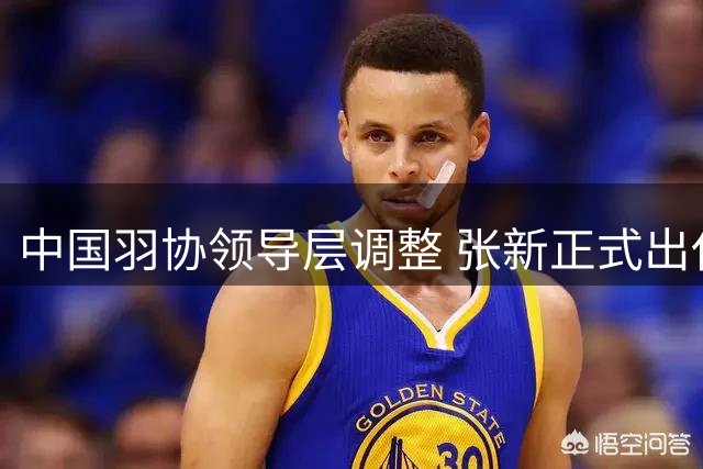 中国羽协领导层调整 张新正式出任主席